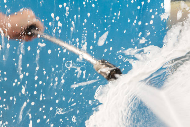 Animal Enclosure Cleaning in Forest Park, OH